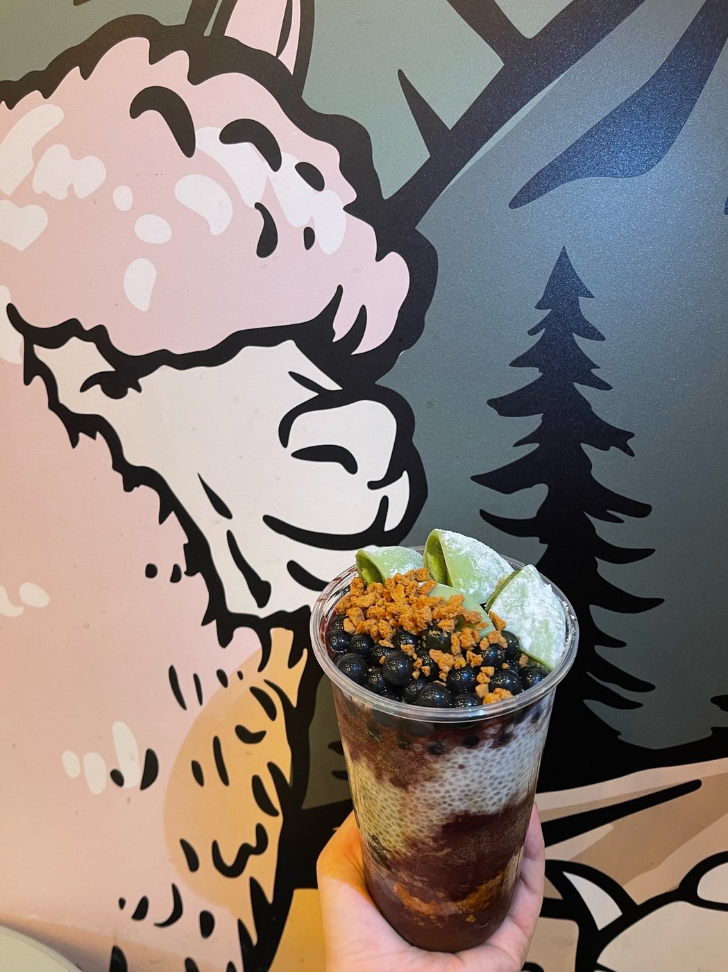 açaí bowl vor der alpaka-wand bei tea99 darmstadt